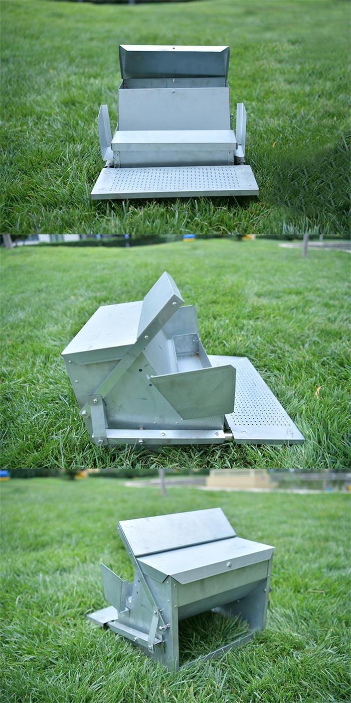 Automatic chicken feeder