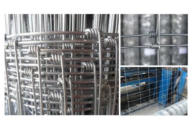 product-650-450 02-650