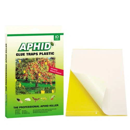 Gula klibbiga flugfällor