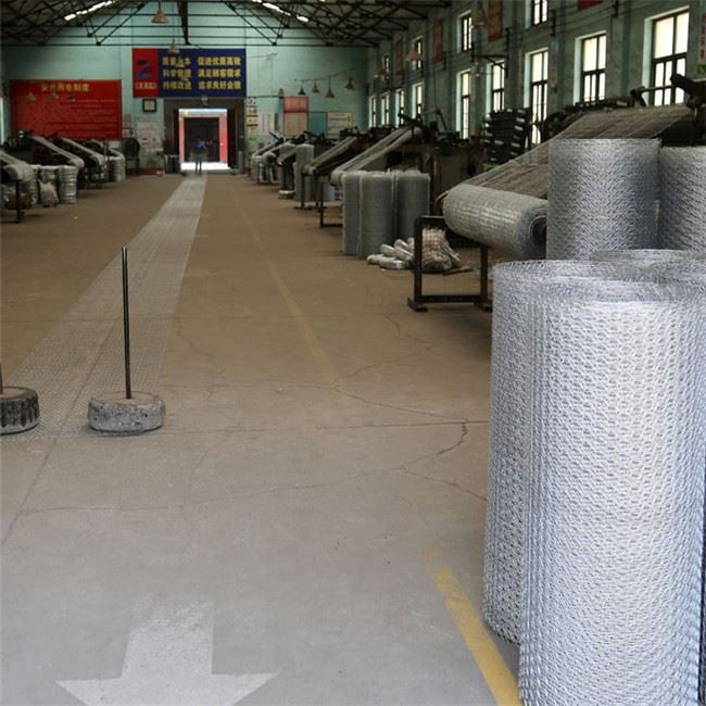 Hexagonal Metal Mesh Tall Chicken Wire