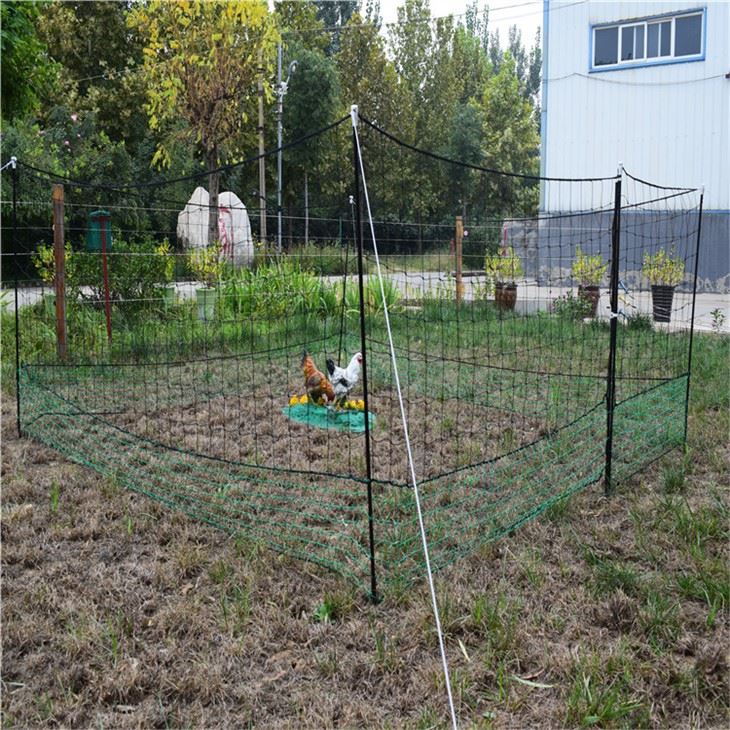 Quail Farm Netting
